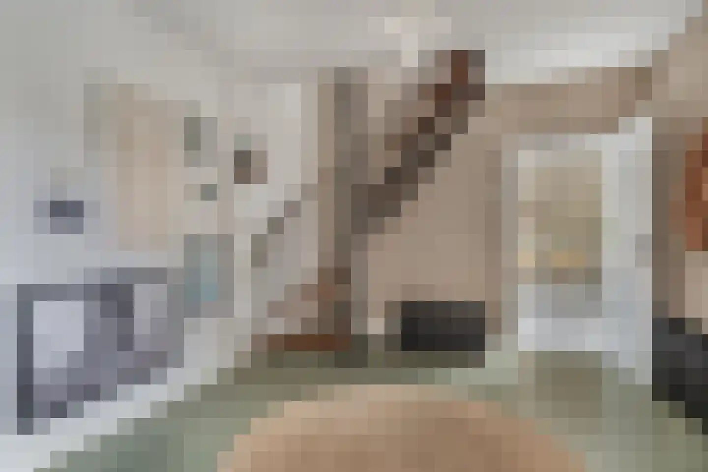 Litserstraat 50 Den Dungen thumbnail 11