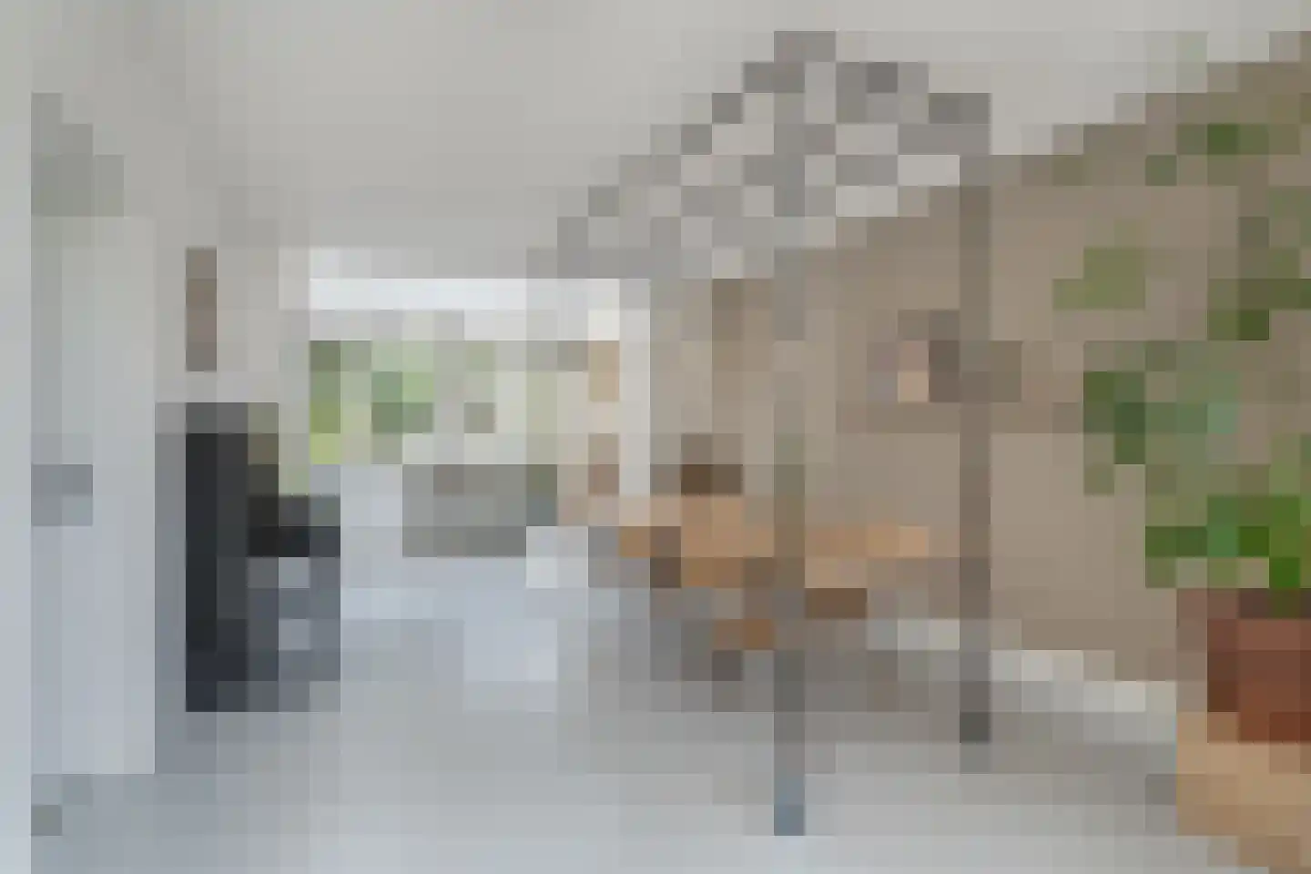 Litserstraat 50 Den Dungen thumbnail 12