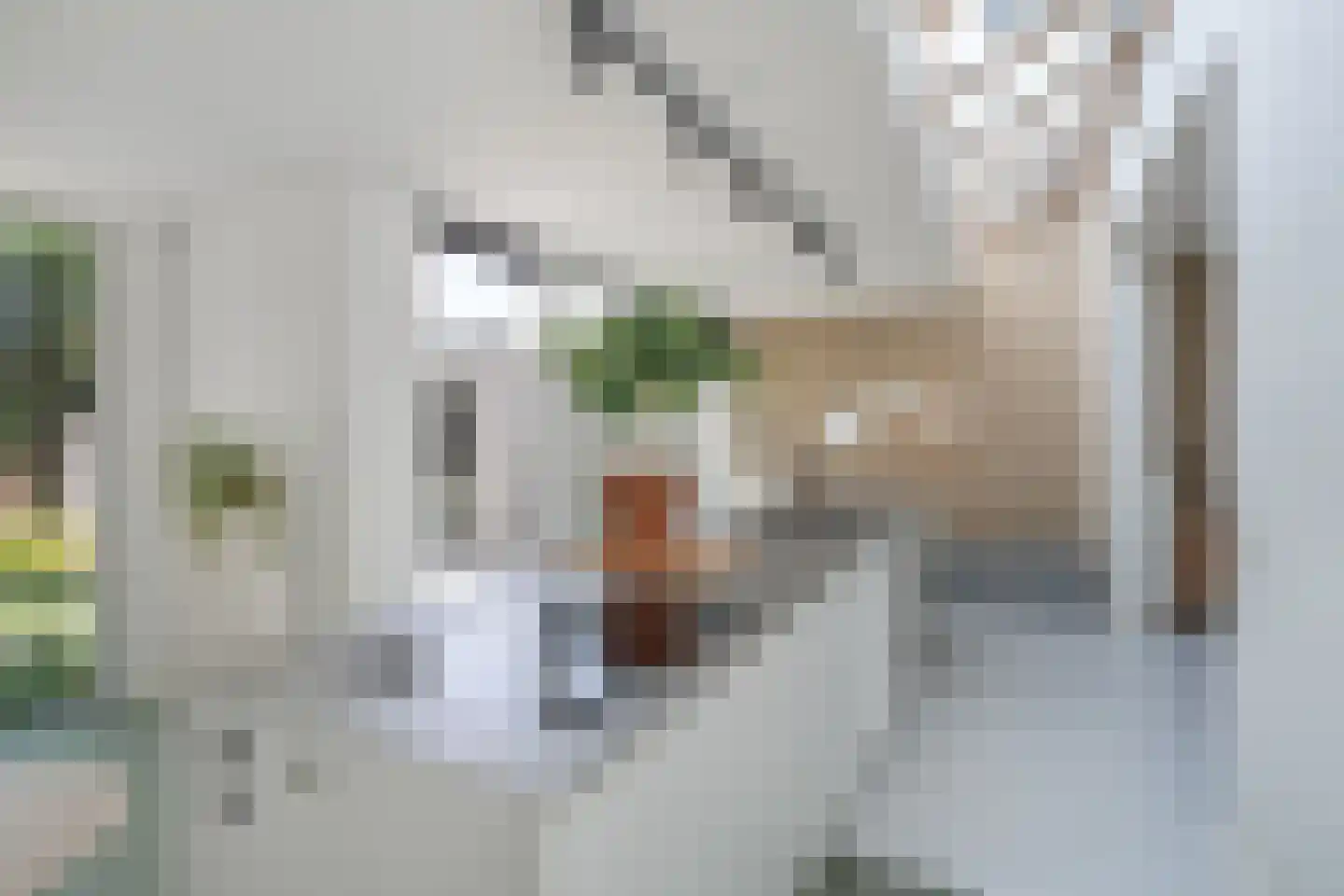 Litserstraat 50 Den Dungen thumbnail 15