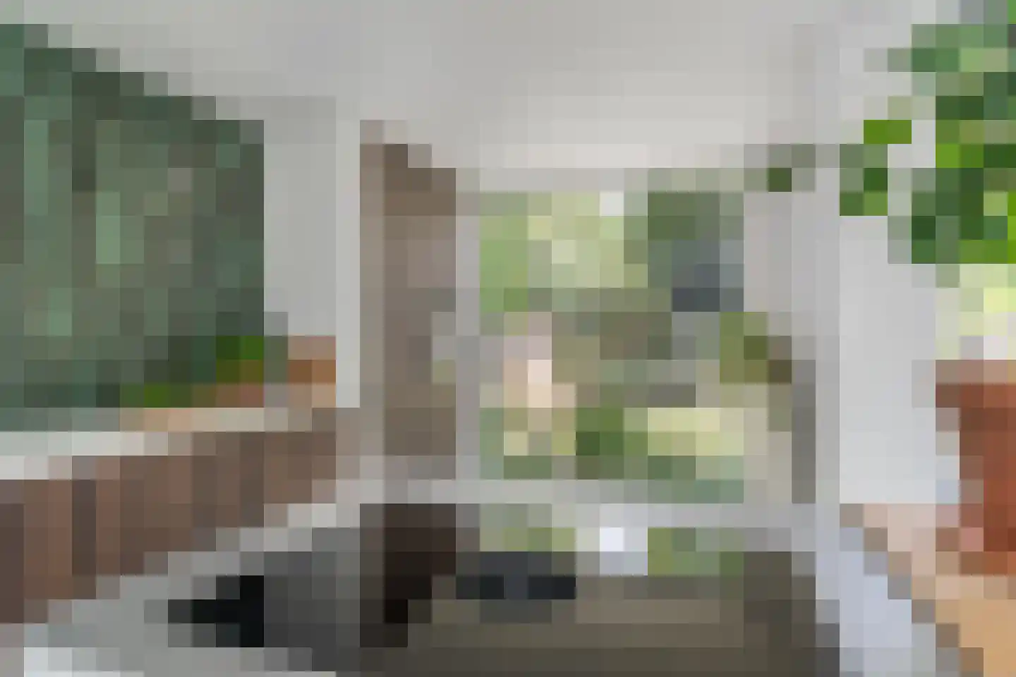 Litserstraat 50 Den Dungen thumbnail 16