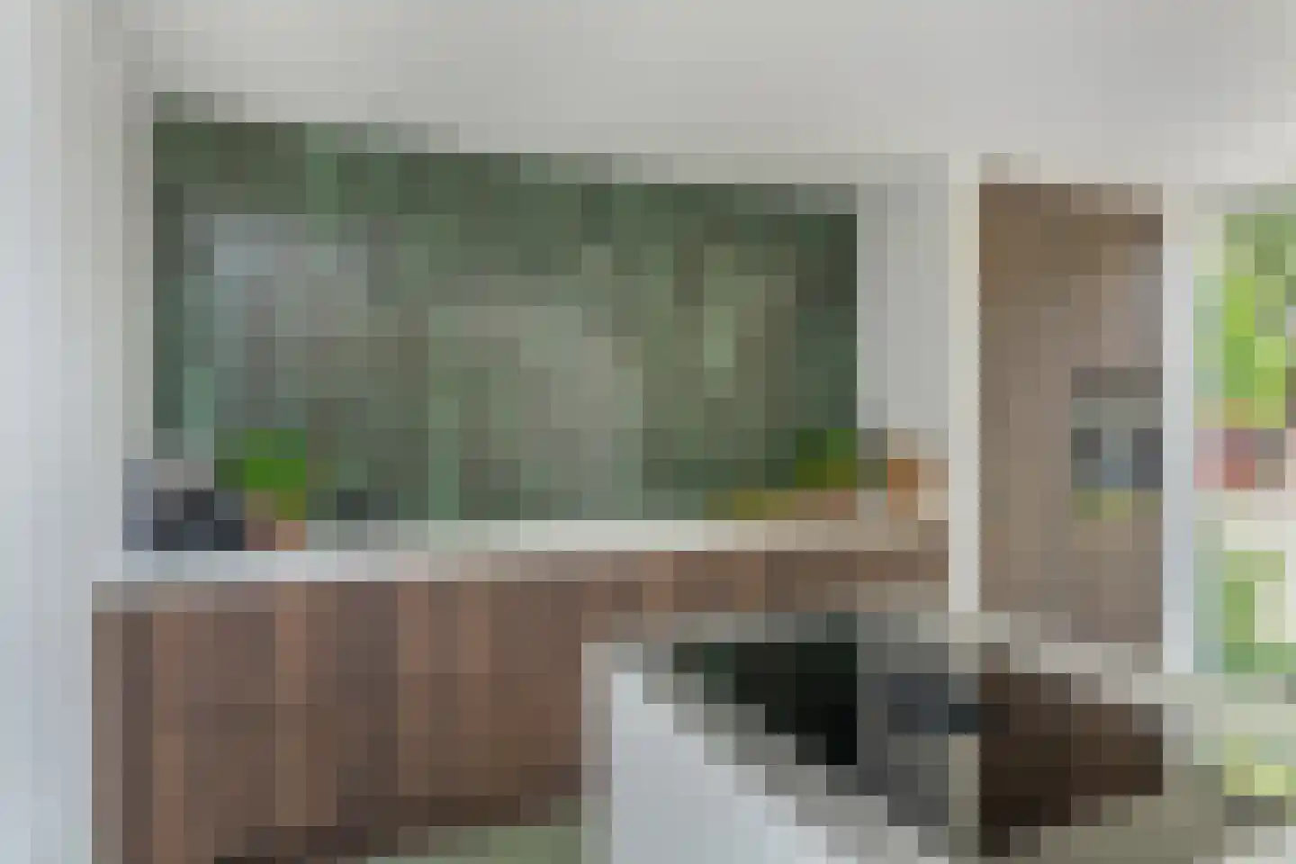 Litserstraat 50 Den Dungen thumbnail 17