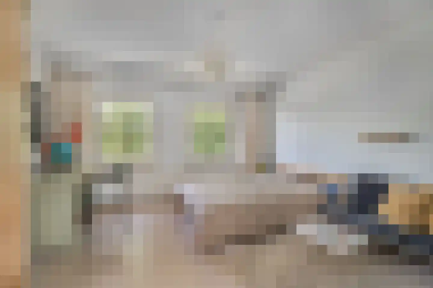 Litserstraat 50 Den Dungen thumbnail 18