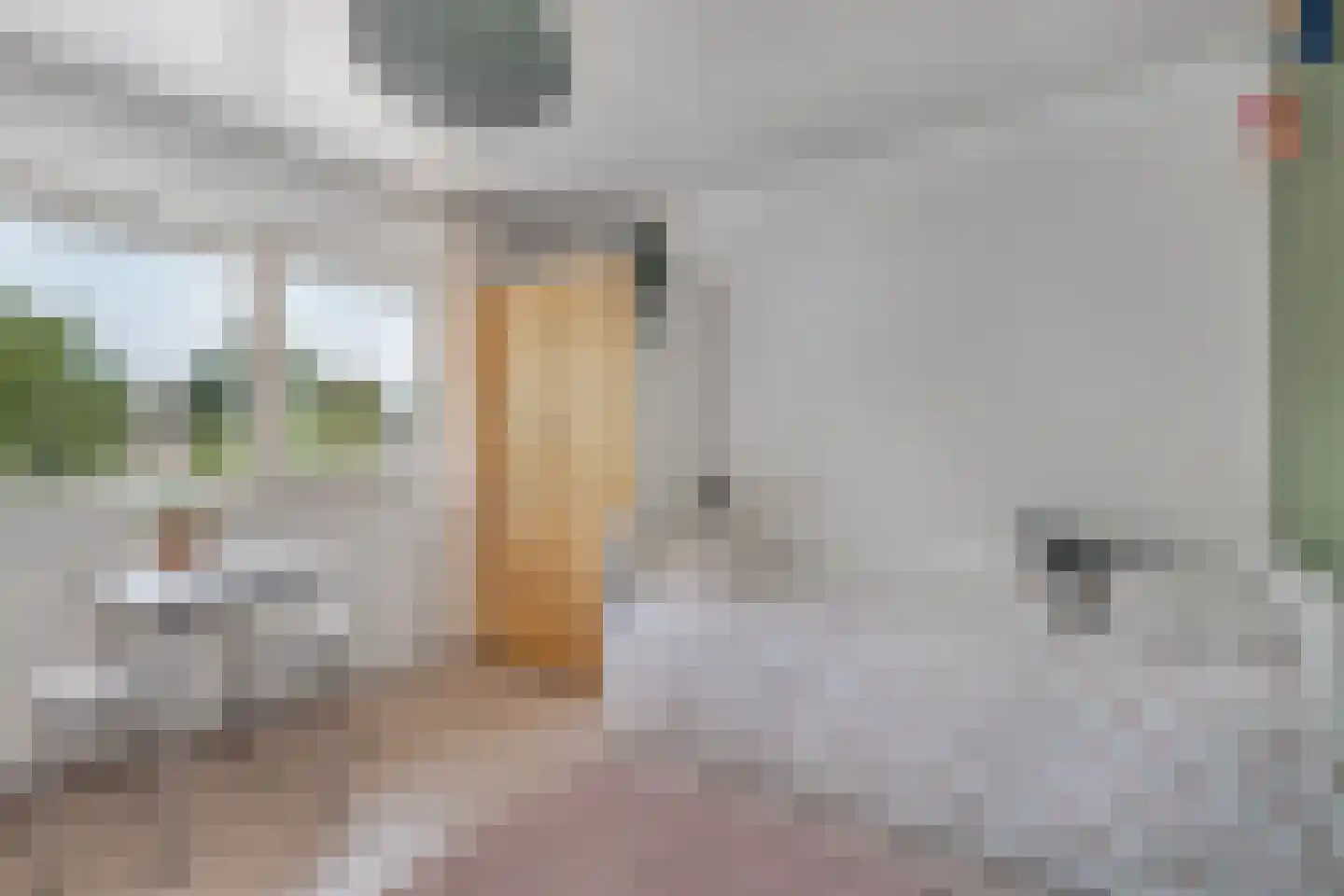 Litserstraat 50 Den Dungen thumbnail 20