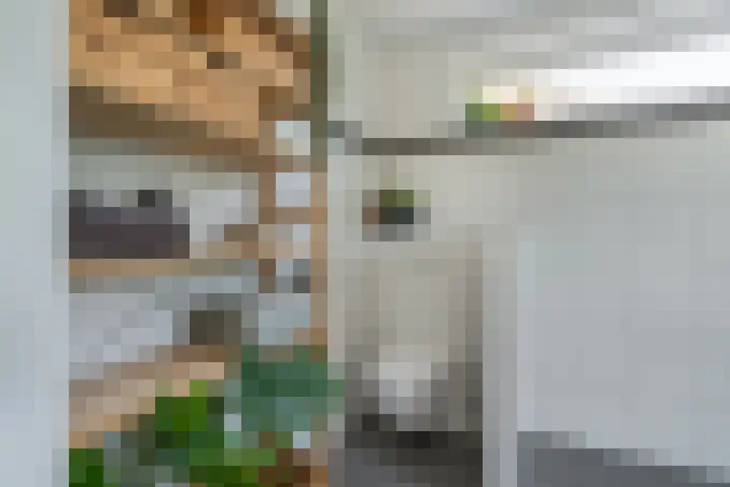 Litserstraat 50 Den Dungen thumbnail 22