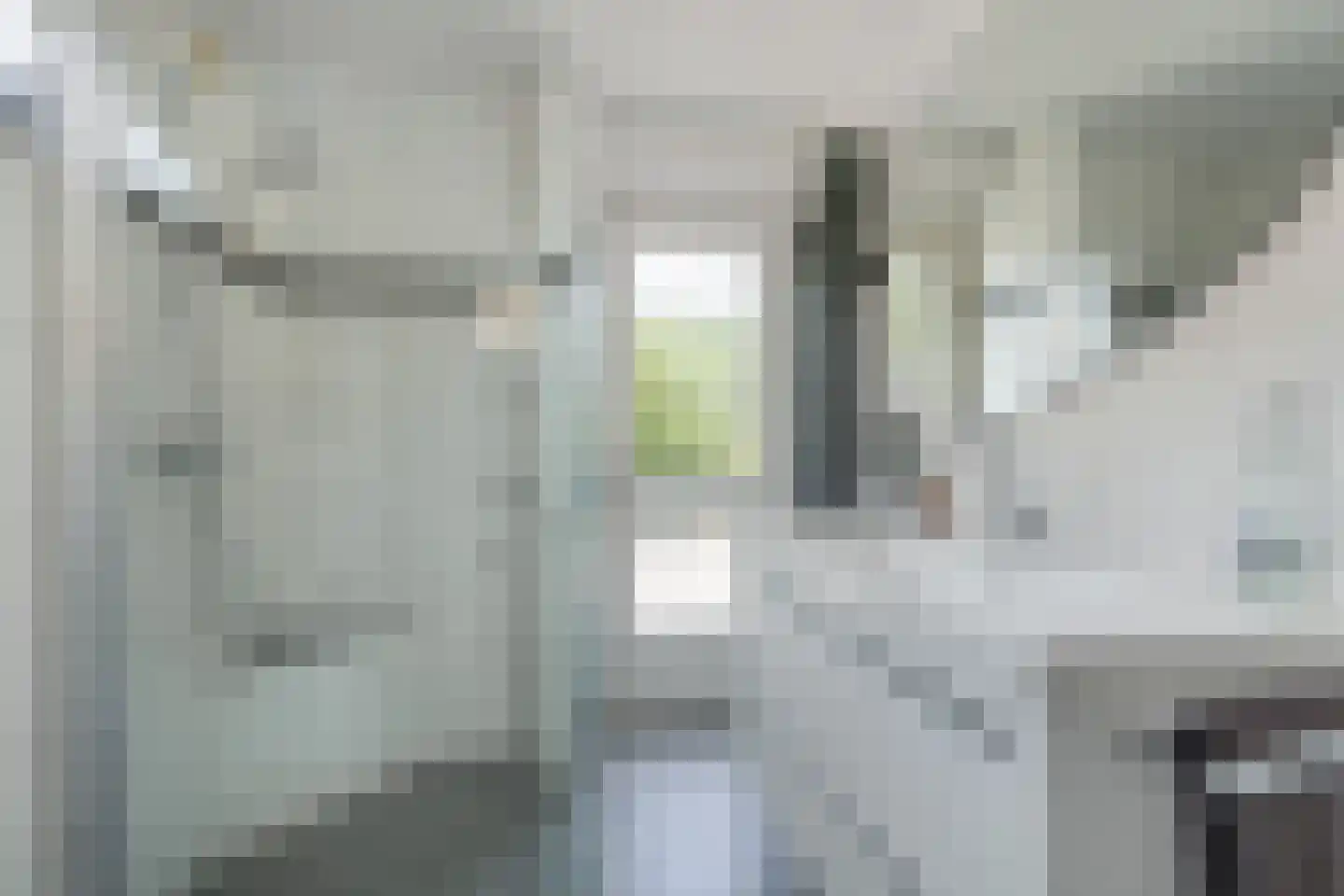 Litserstraat 50 Den Dungen thumbnail 23