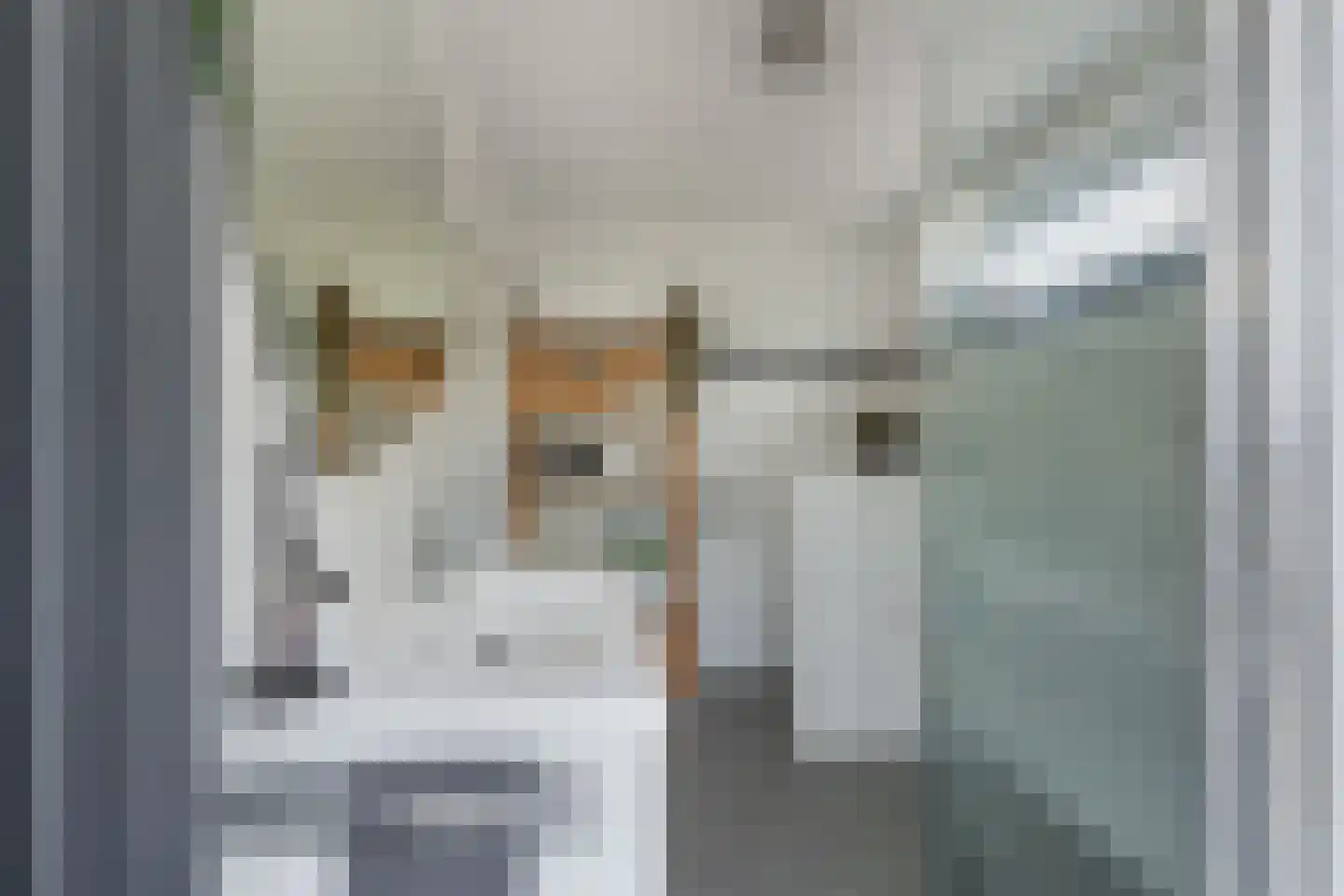 Litserstraat 50 Den Dungen thumbnail 24