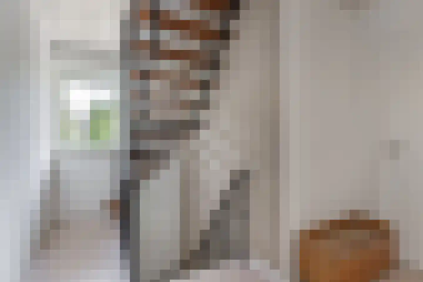 Litserstraat 50 Den Dungen thumbnail 25