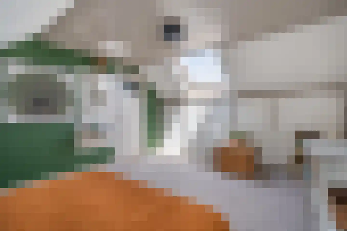Litserstraat 50 Den Dungen thumbnail 26