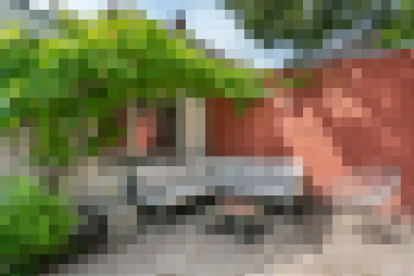 Litserstraat 50 Den Dungen thumbnail 28