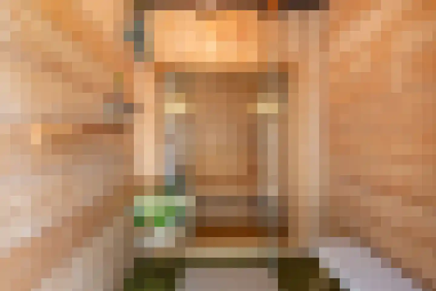 Litserstraat 50 Den Dungen thumbnail 30