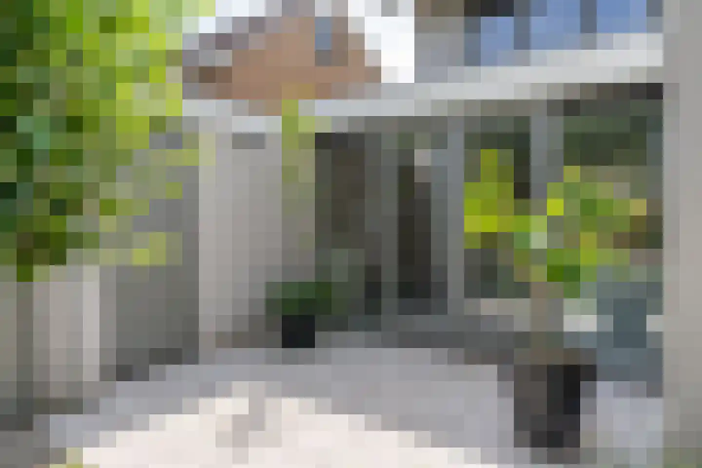Litserstraat 50 Den Dungen thumbnail 32