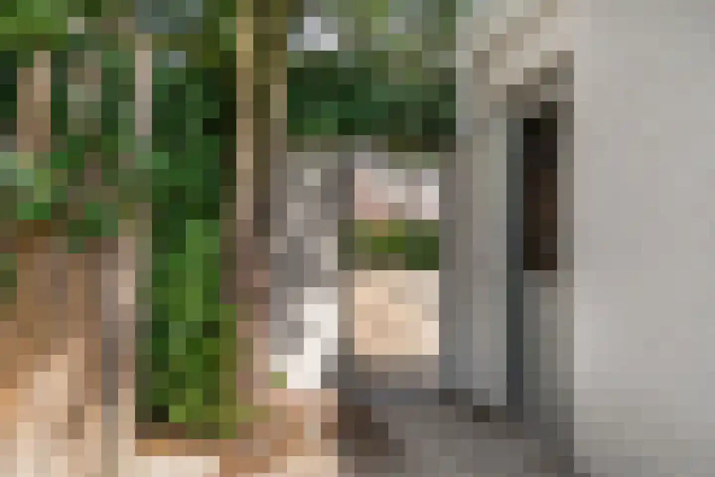 Litserstraat 50 Den Dungen thumbnail 33