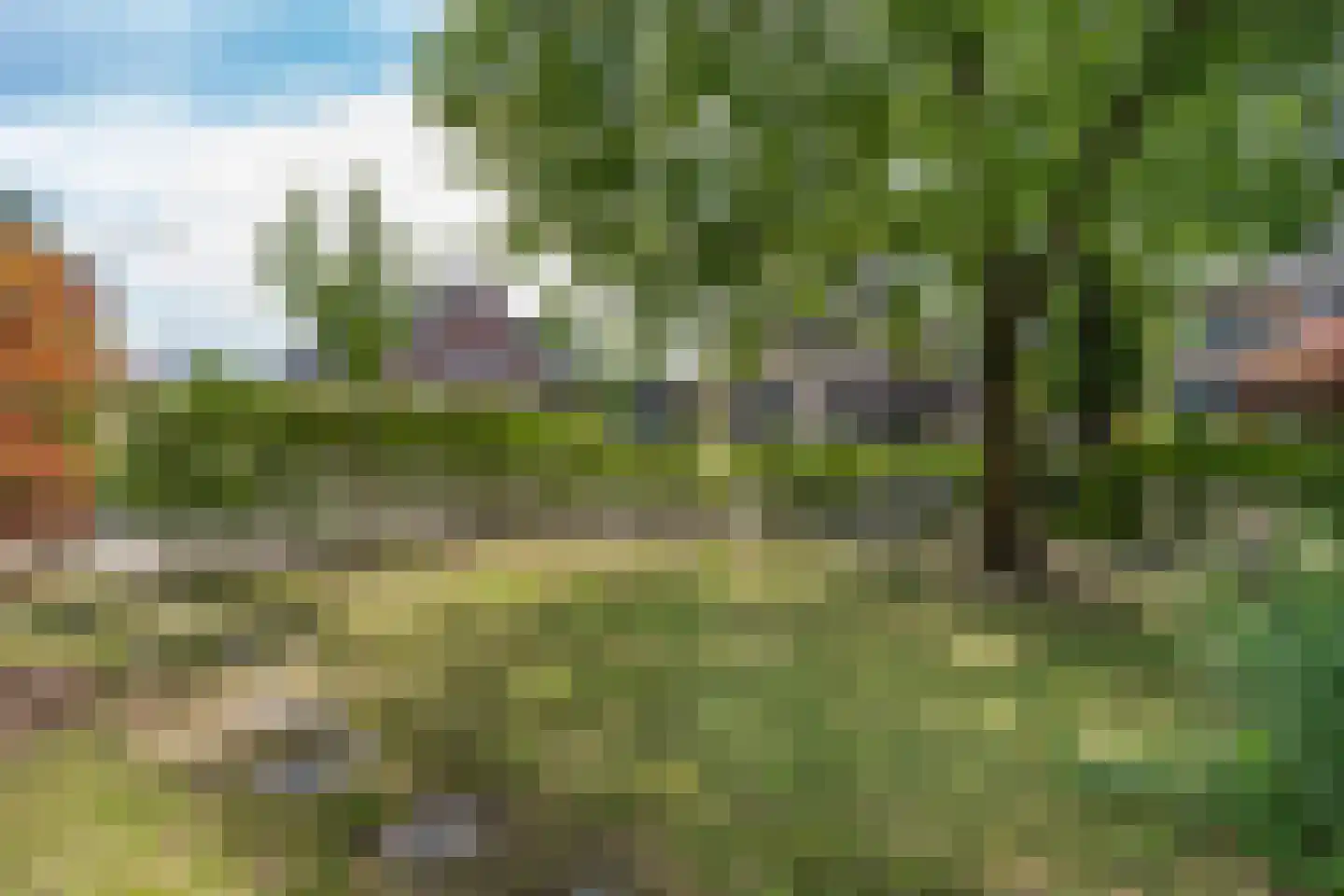 Litserstraat 50 Den Dungen thumbnail 36