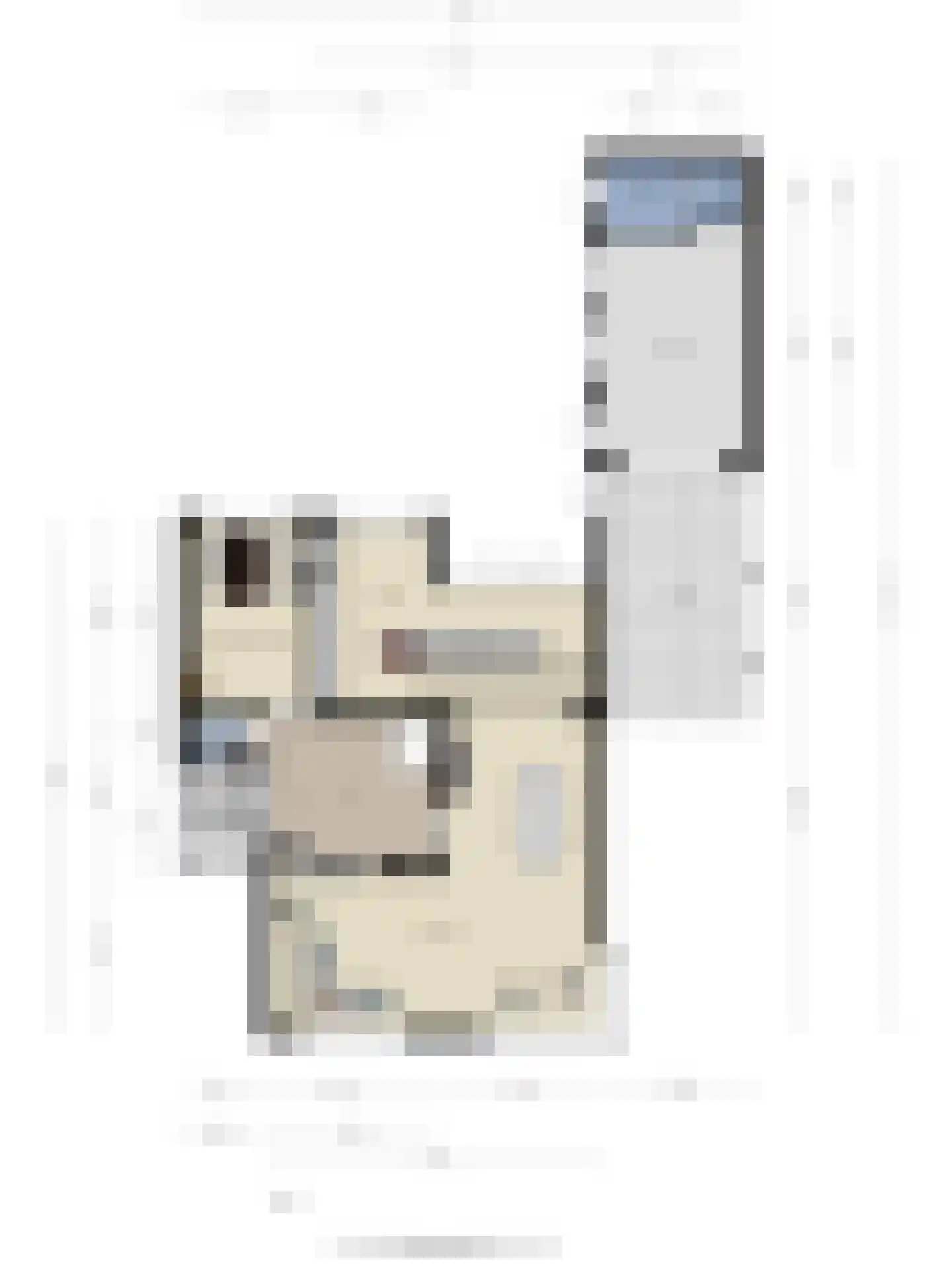 Litserstraat 50 Den Dungen thumbnail 37