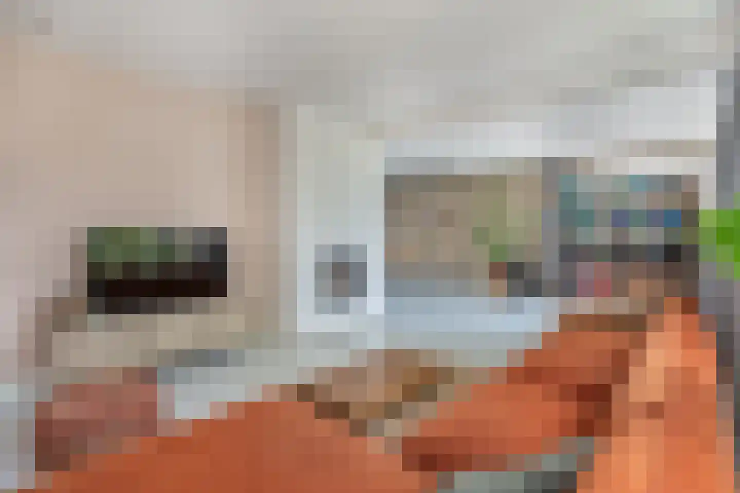 Litserstraat 50 Den Dungen thumbnail 4