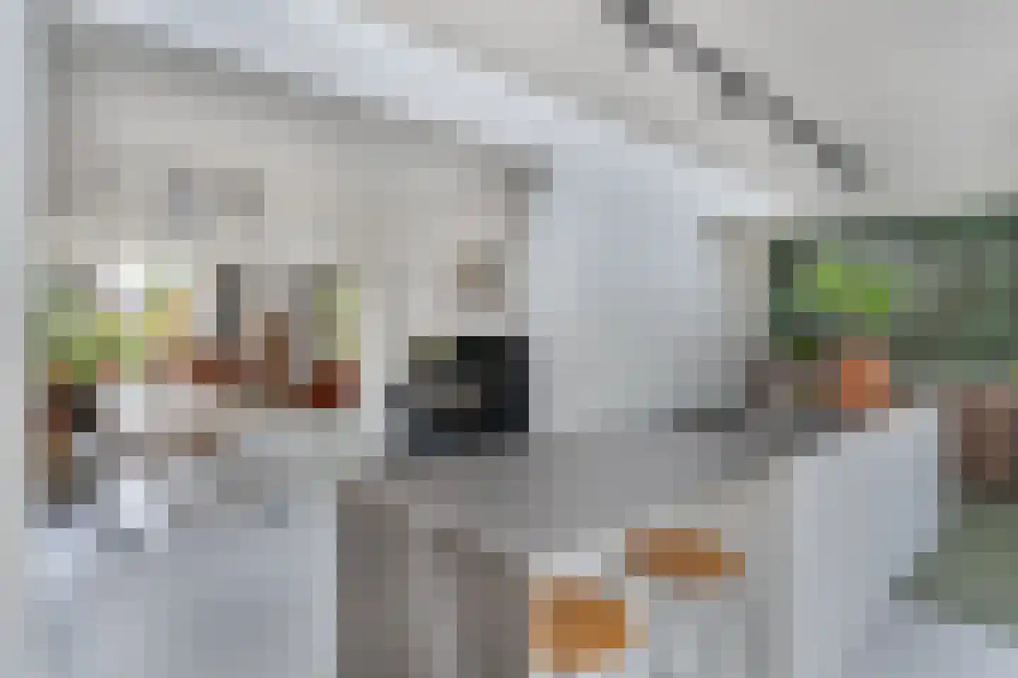 Litserstraat 50 Den Dungen thumbnail 5