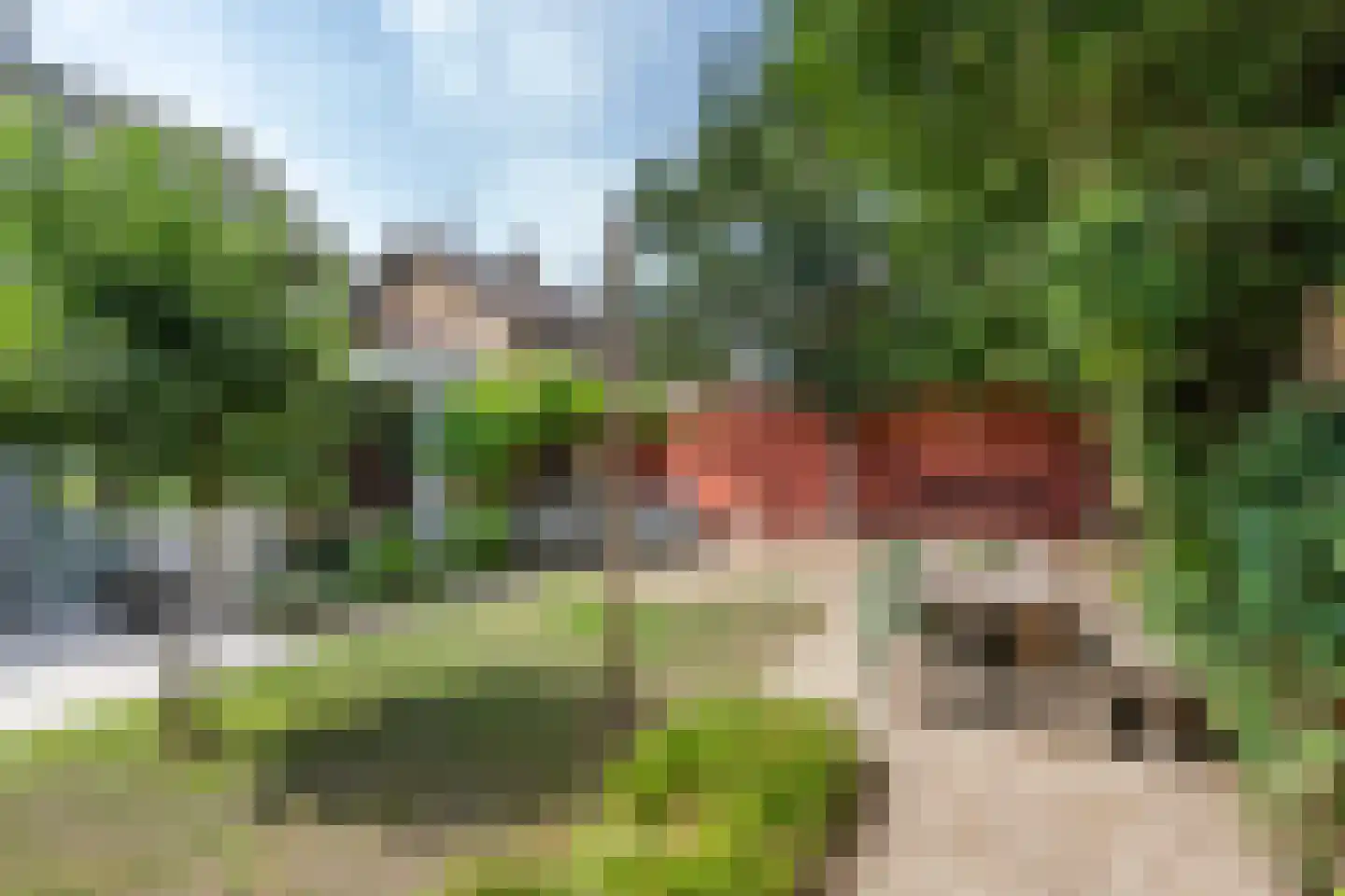 Litserstraat 50 Den Dungen thumbnail 6