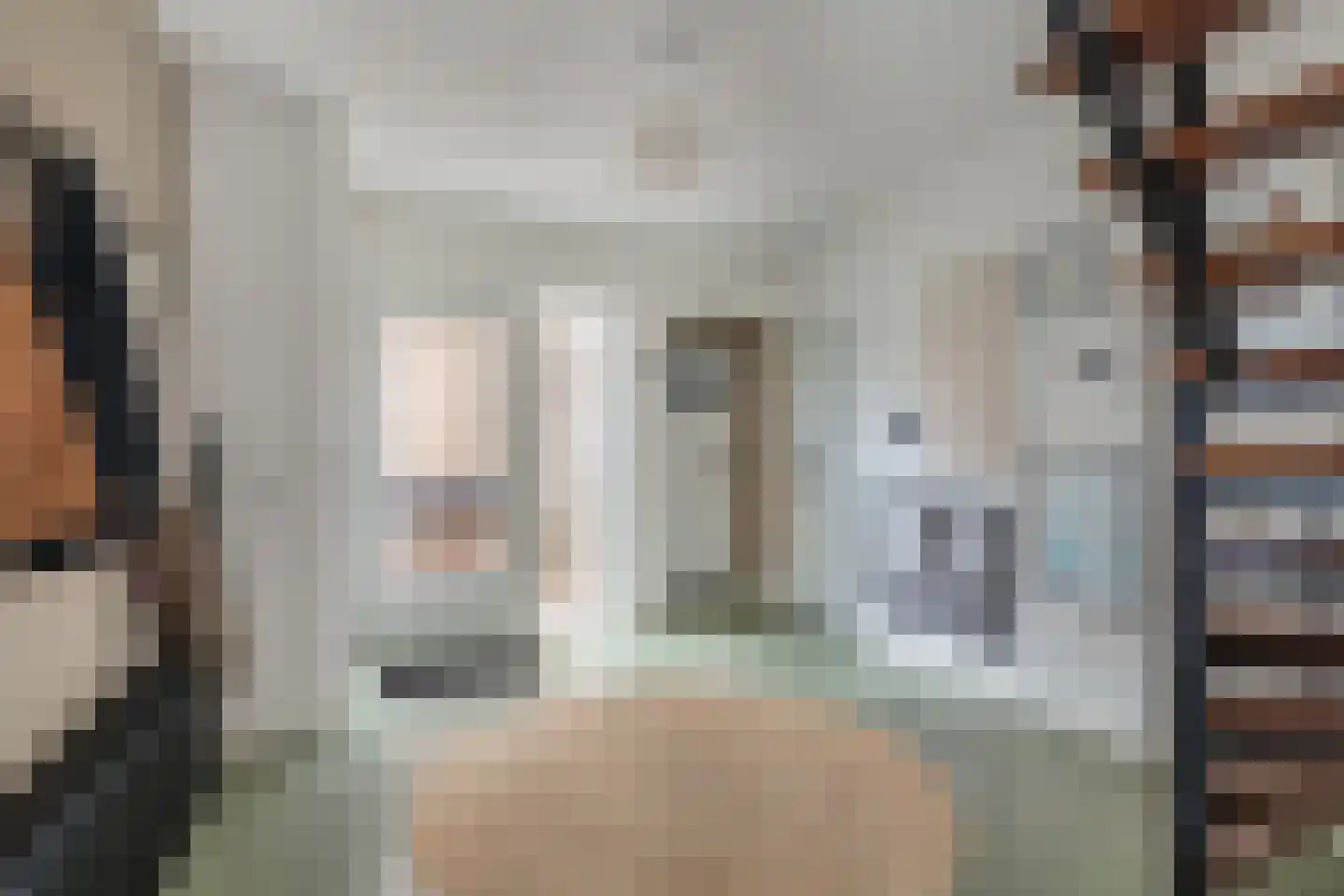 Litserstraat 50 Den Dungen thumbnail 8