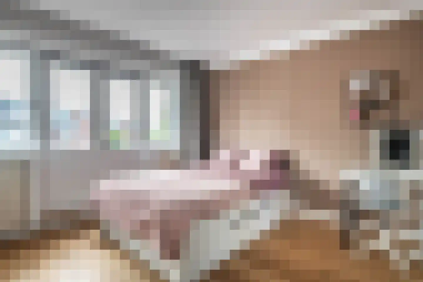 Litslaan 2 Santpoort-Zuid thumbnail 23