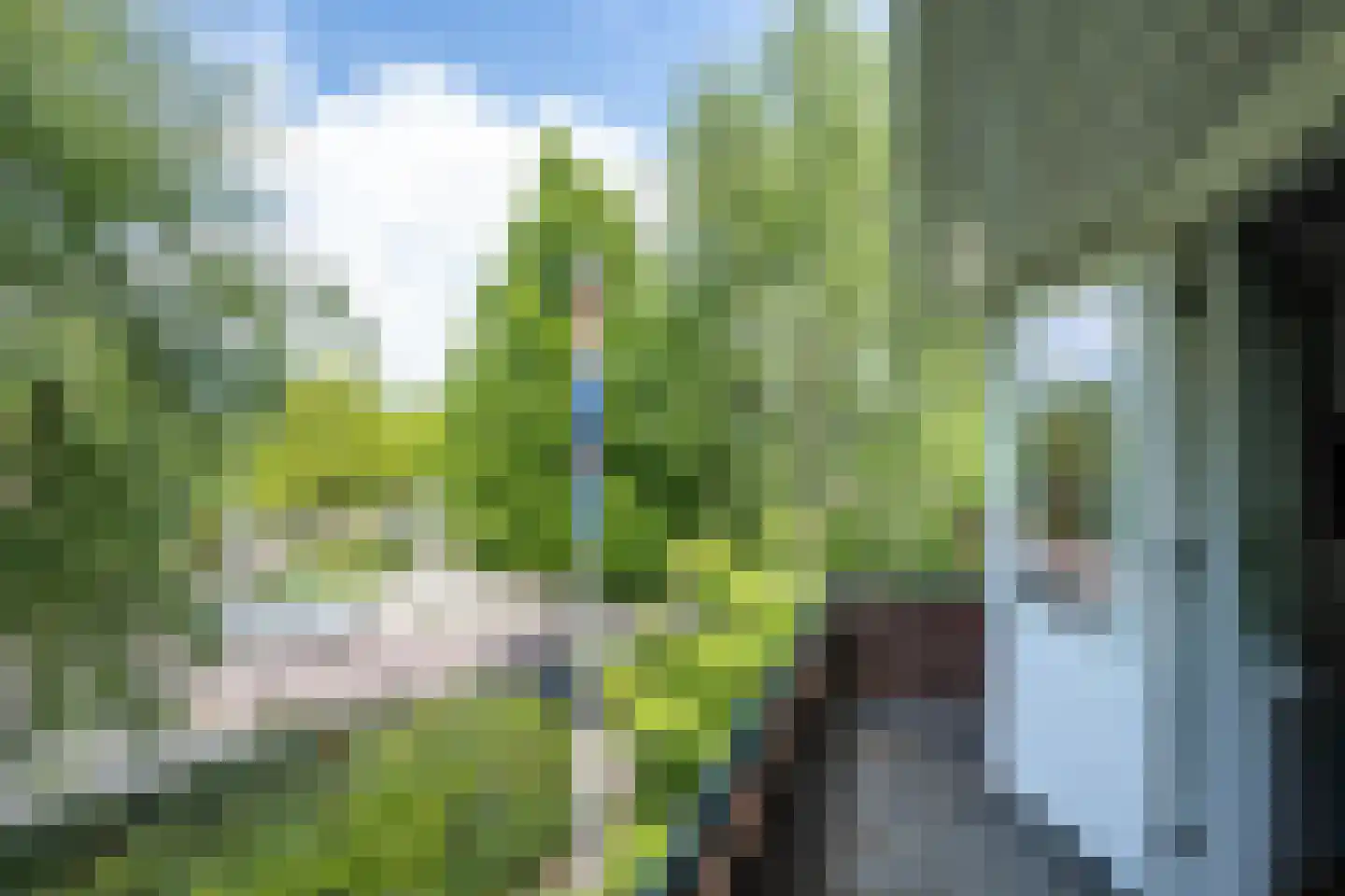 Litslaan 2 Santpoort-Zuid thumbnail 30