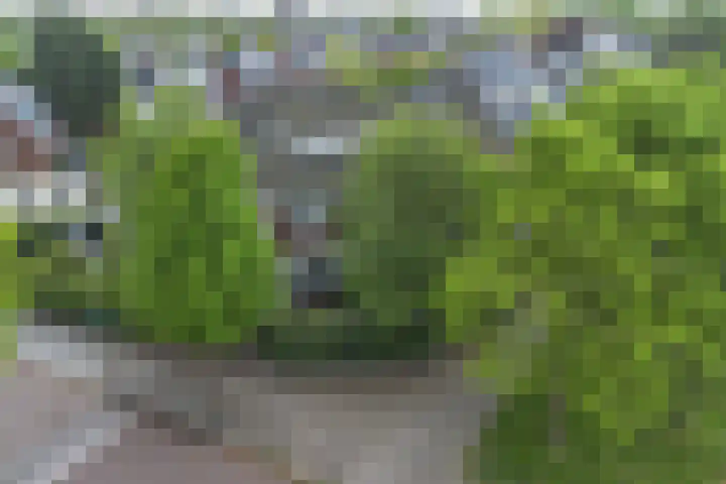 Litslaan 2 Santpoort-Zuid thumbnail 52