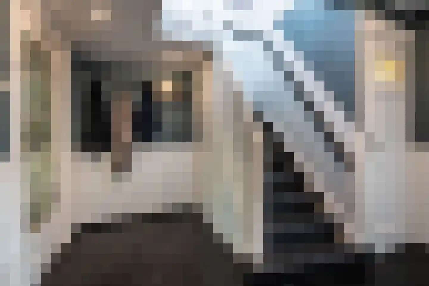 Litslaan 2 Santpoort-Zuid thumbnail 8