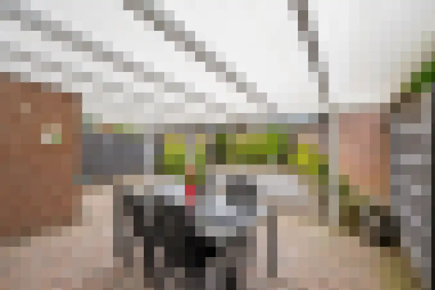 Littersven 9 Echt thumbnail 19