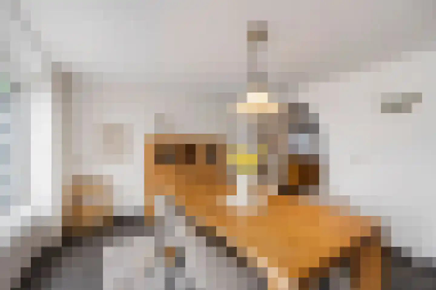 Littersven 9 Echt thumbnail 20