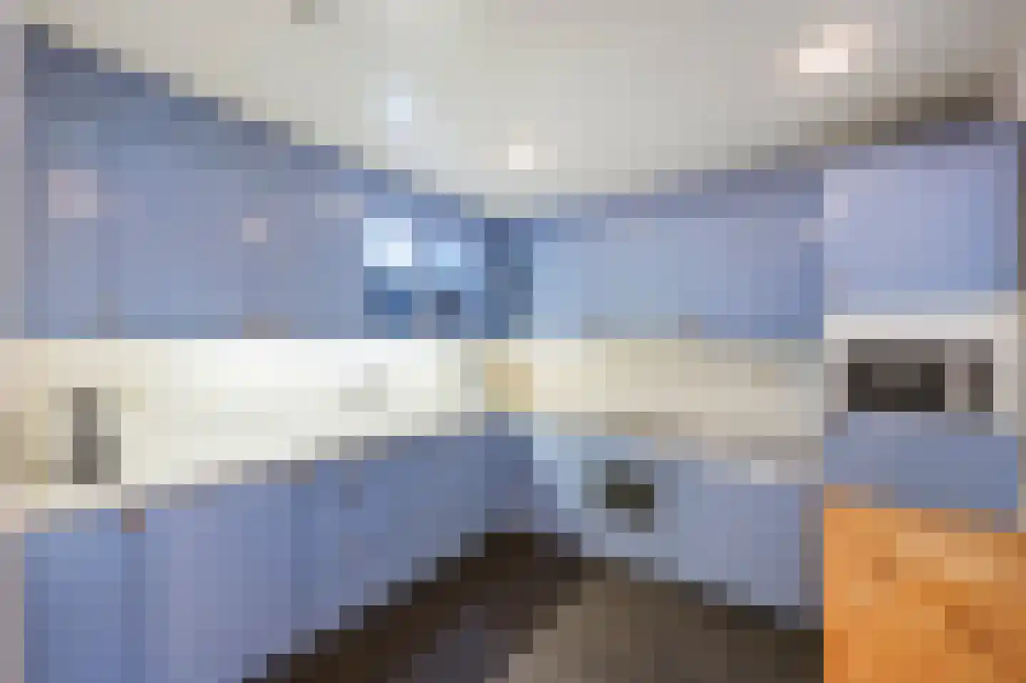 Littersven 9 Echt thumbnail 22