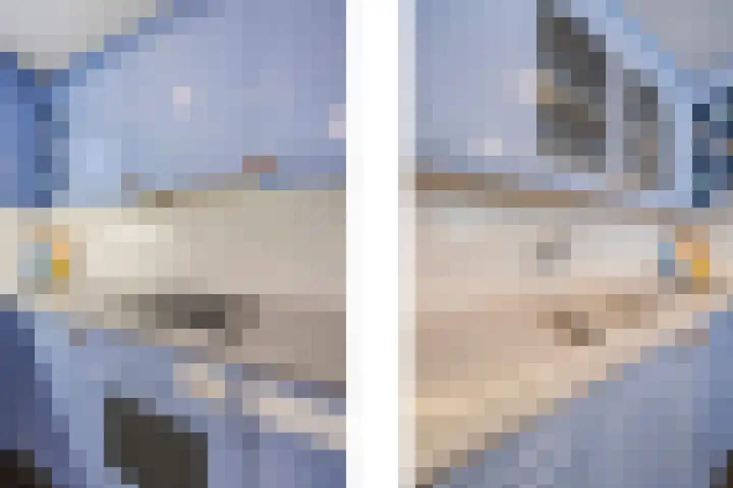 Littersven 9 Echt thumbnail 23