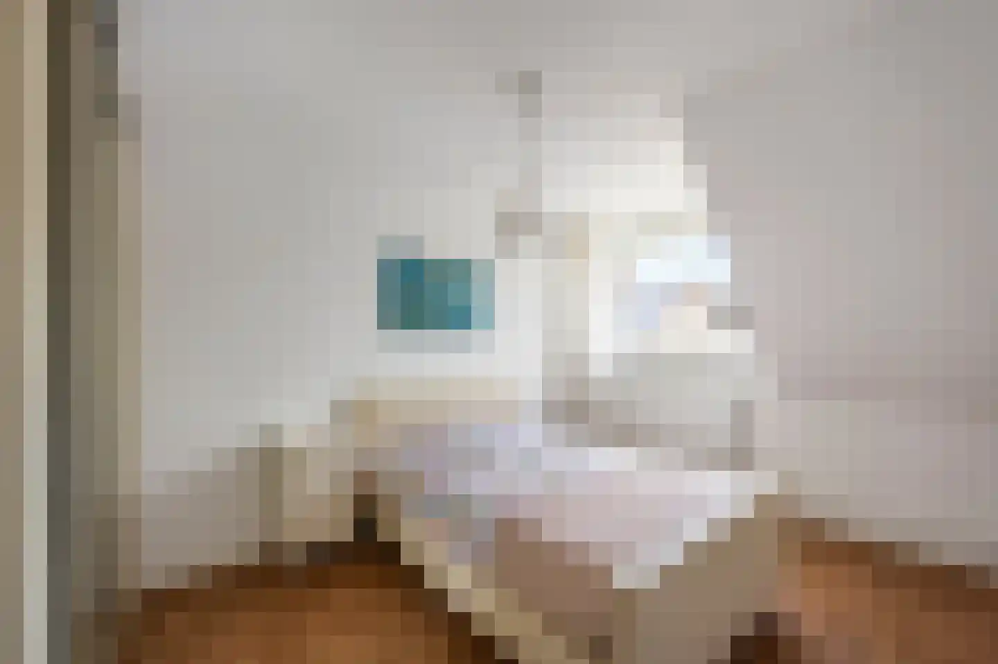 Littersven 9 Echt thumbnail 29