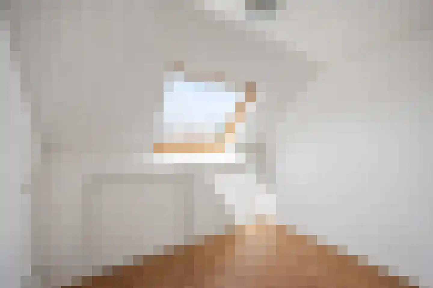 Littersven 9 Echt thumbnail 31