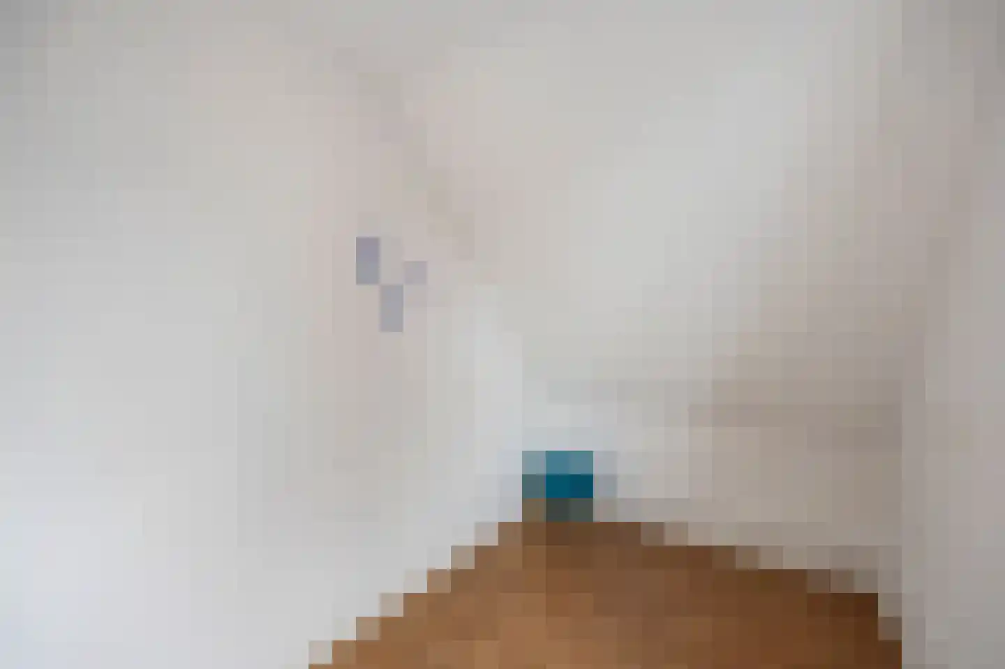 Littersven 9 Echt thumbnail 32