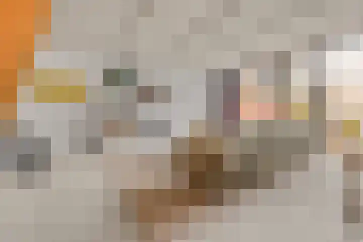 Livarstraat 33 Utrecht thumbnail 9