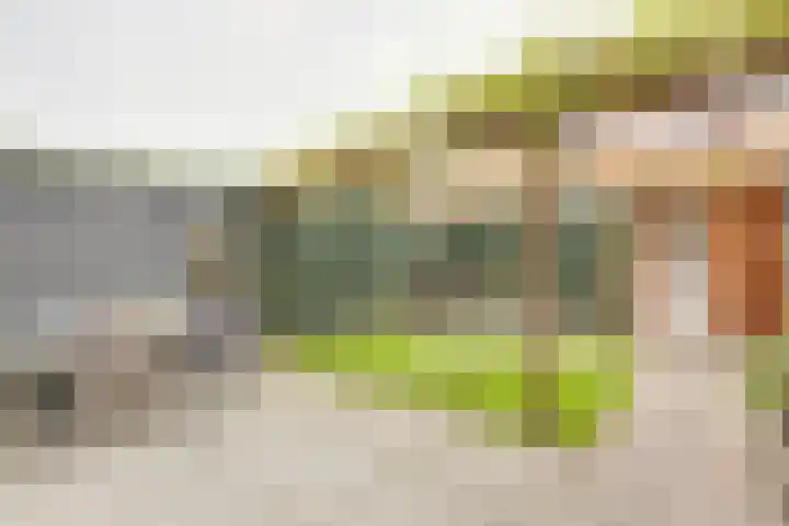 Livarstraat 71 Utrecht thumbnail 39