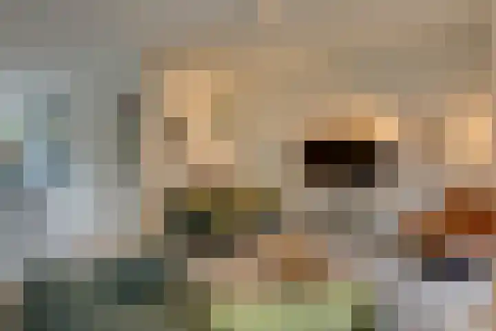 Livarstraat 71 Utrecht thumbnail 5