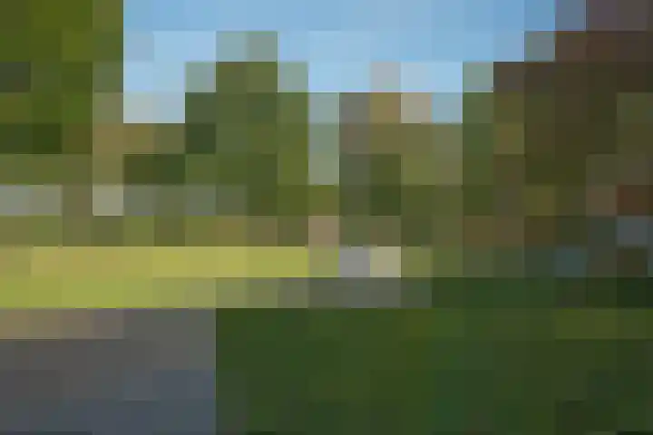 Liverpoolstraat 46 Hengelo thumbnail 33