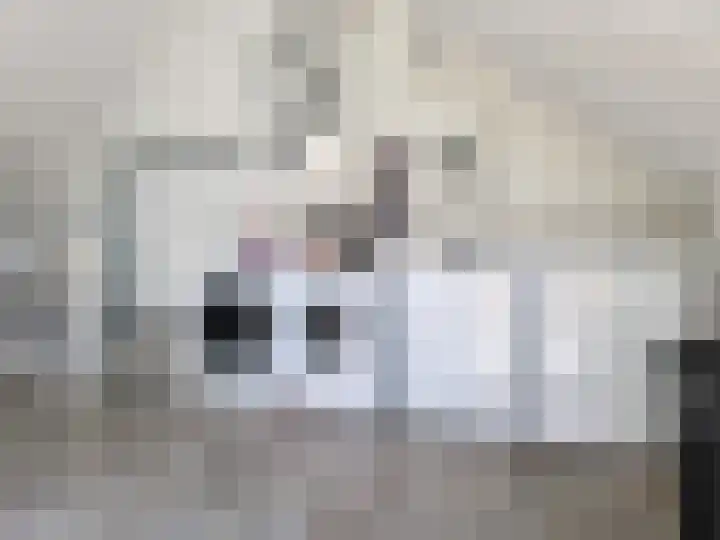 Liverpoolstraat 60 Hengelo thumbnail 65