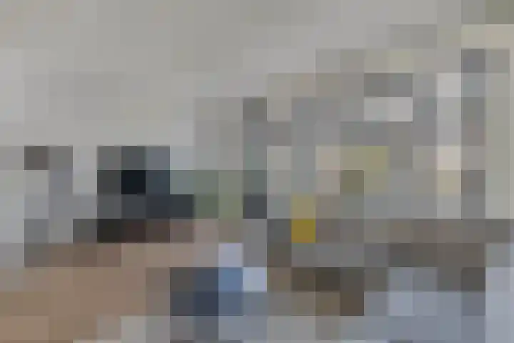Livingstonehage 23 Emmeloord thumbnail 11