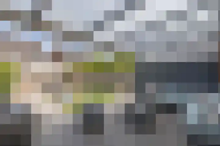Livingstonehage 23 Emmeloord thumbnail 12