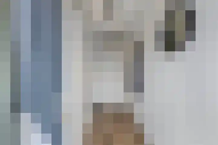 Livingstonehage 23 Emmeloord thumbnail 13