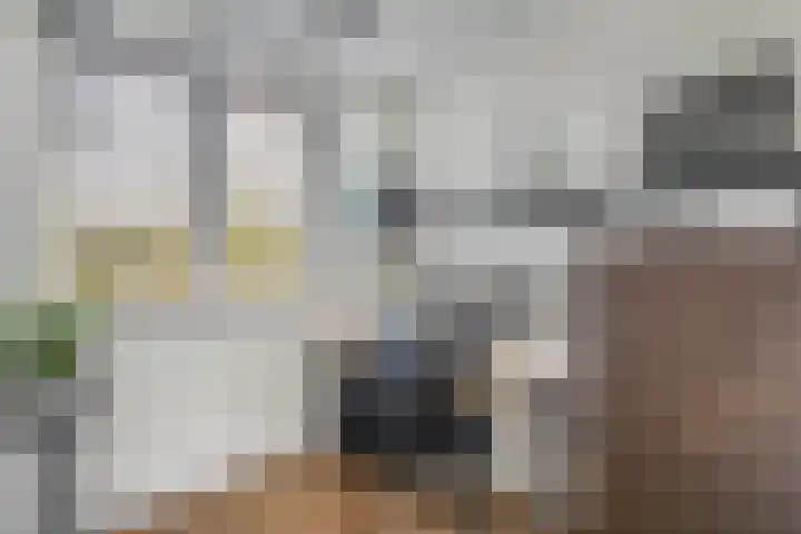 Livingstonehage 23 Emmeloord thumbnail 19