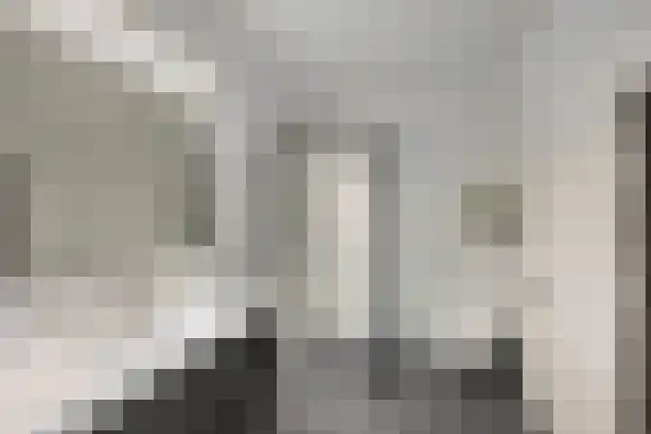 Livingstonehage 23 Emmeloord thumbnail 21