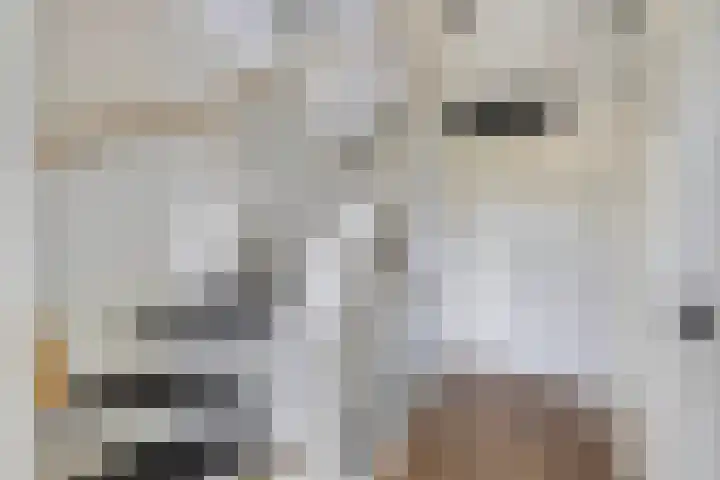 Livingstonehage 23 Emmeloord thumbnail 23