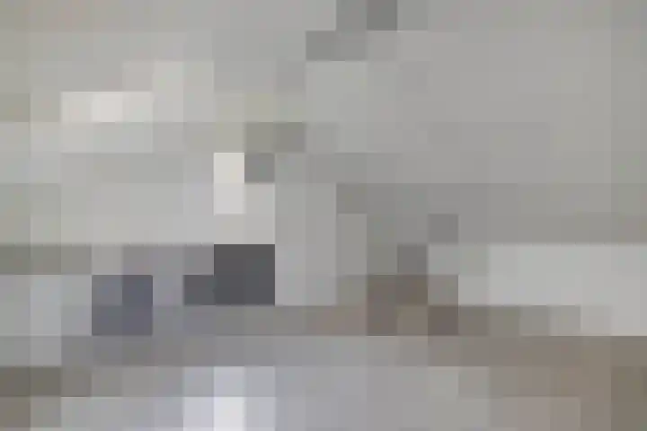 Livingstonehage 23 Emmeloord thumbnail 24
