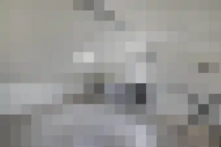 Livingstonehage 23 Emmeloord thumbnail 25