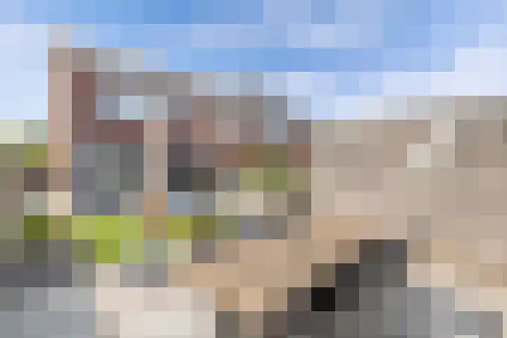 Livingstonehage 23 Emmeloord thumbnail 28