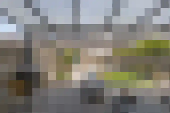 Livingstonehage 23 Emmeloord thumbnail 31