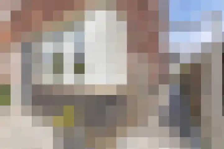 Livingstonehage 23 Emmeloord thumbnail 34