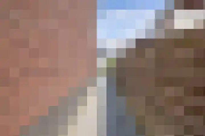 Livingstonehage 23 Emmeloord thumbnail 35